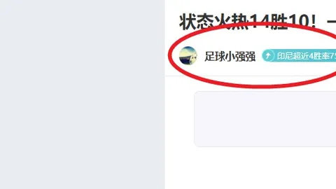 大乐透期号专家质合分析：卡利亚里能否保级成功